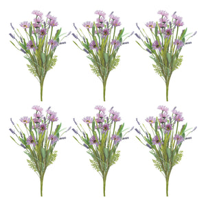 Mixed Daisy Bush (Set of 6)