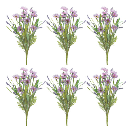 Pruple mixed daisy bush (set of 6)