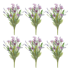 Mixed Daisy Bush (Set of 6)