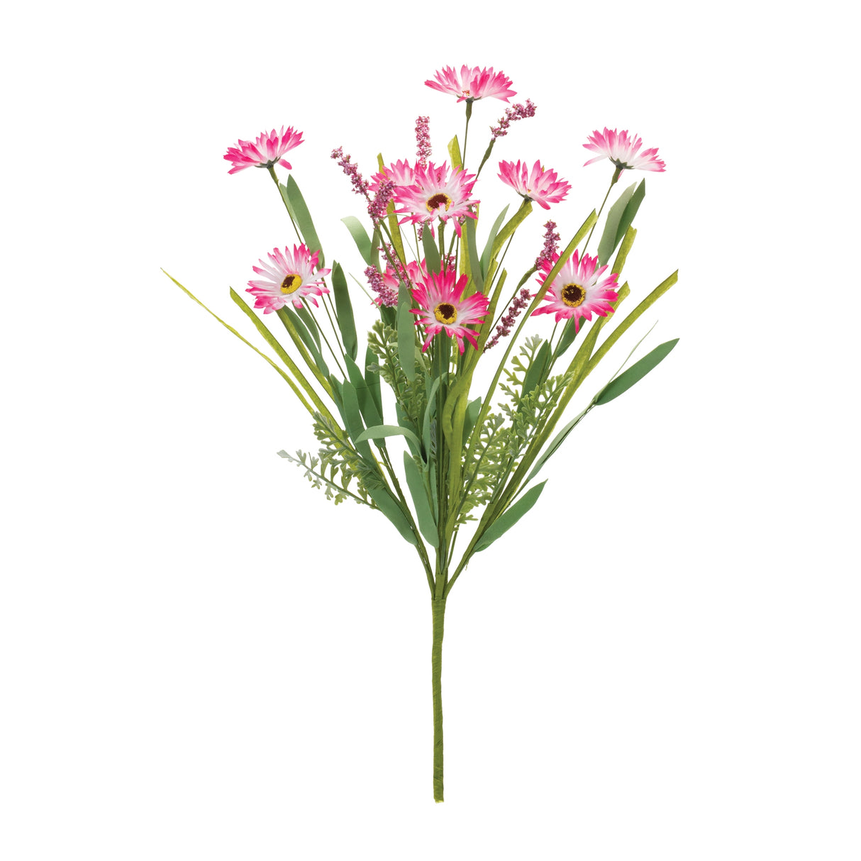 Mixed Daisy Bush (Set of 2)