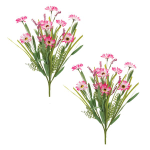 Mixed Daisy Bush (Set of 2)