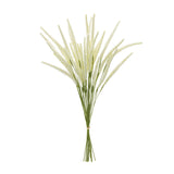 Foxtail Bundle (Set of 6)