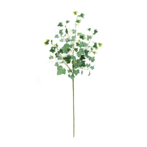 Mixed ivy foliage bush (set of 2)