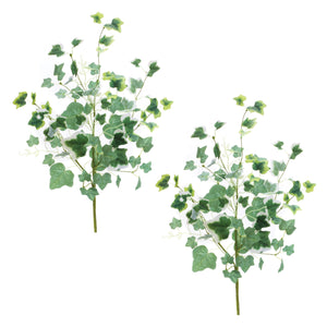 Mixed ivy foliage bush (set of 2)