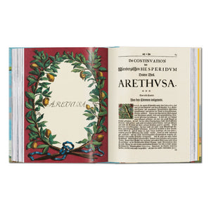 J. C. Volkamer. The Book of Citrus Fruits. 45th Ed. (German, French, English)