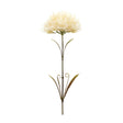 Puff-flower-stem-(set-of-6)-Artificial-Flowering-Plants
