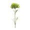 Puff flower stem (set of 6)