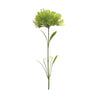 Puff Flower Stem (Set of 6)