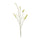 Green-Foxtail-Spray-(Set-of-6)-Artificial-Flowering-Plants