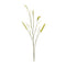 Green-Foxtail-Spray-(Set-of-6)-Artificial-Flowering-Plants