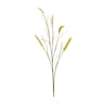 Green-Foxtail-Spray-(Set-of-6)-Artificial-Flowering-Plants