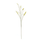 Green Foxtail Spray (Set of 6)