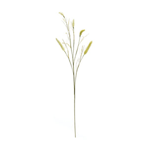 Foxtail Spray (Set of 6)