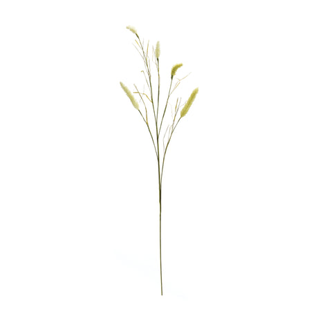 Green Foxtail Spray (Set of 6)