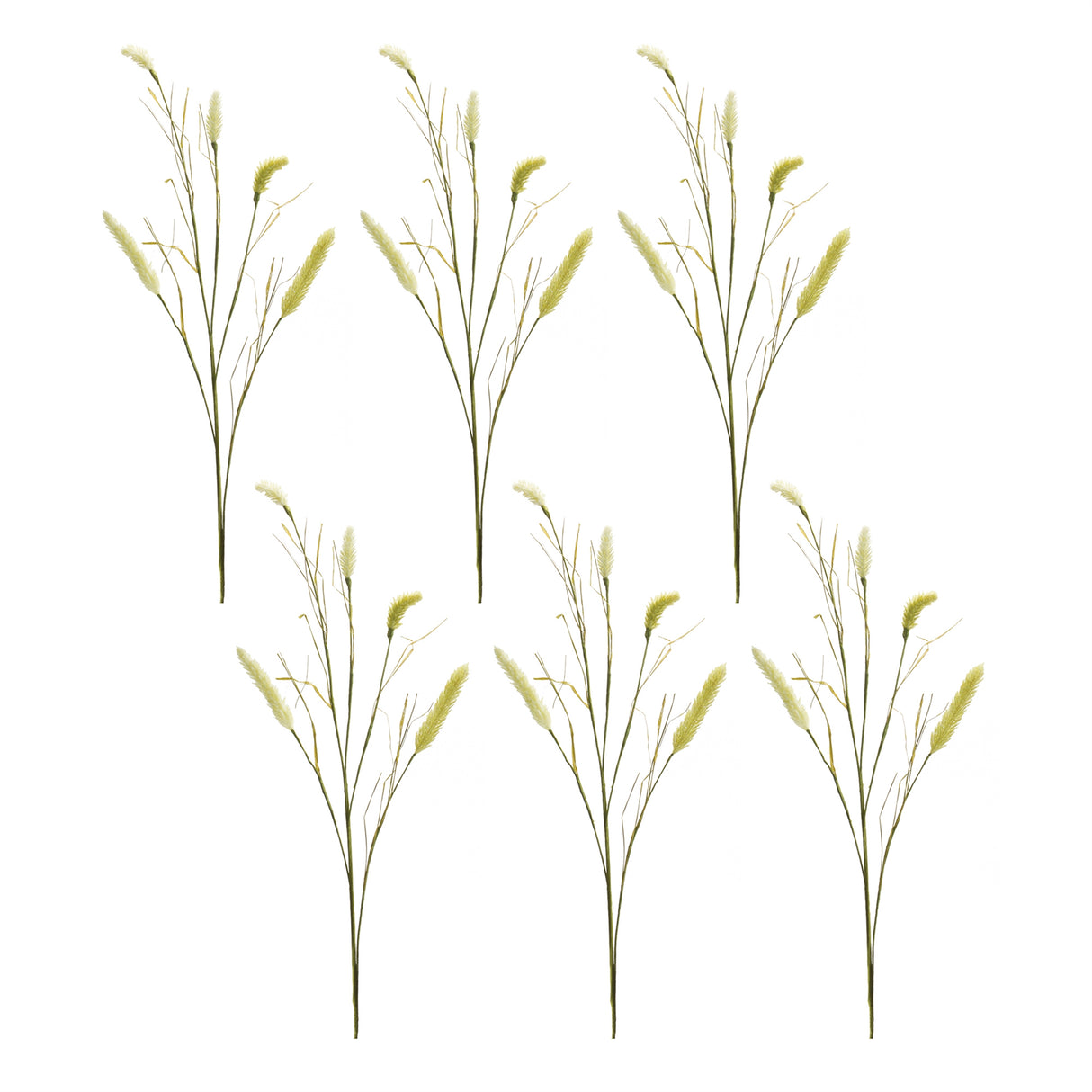 Green Foxtail Spray (Set of 6)