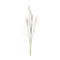 White-foxtail-spray-(set-of-6)-Artificial-Flowering-Plants
