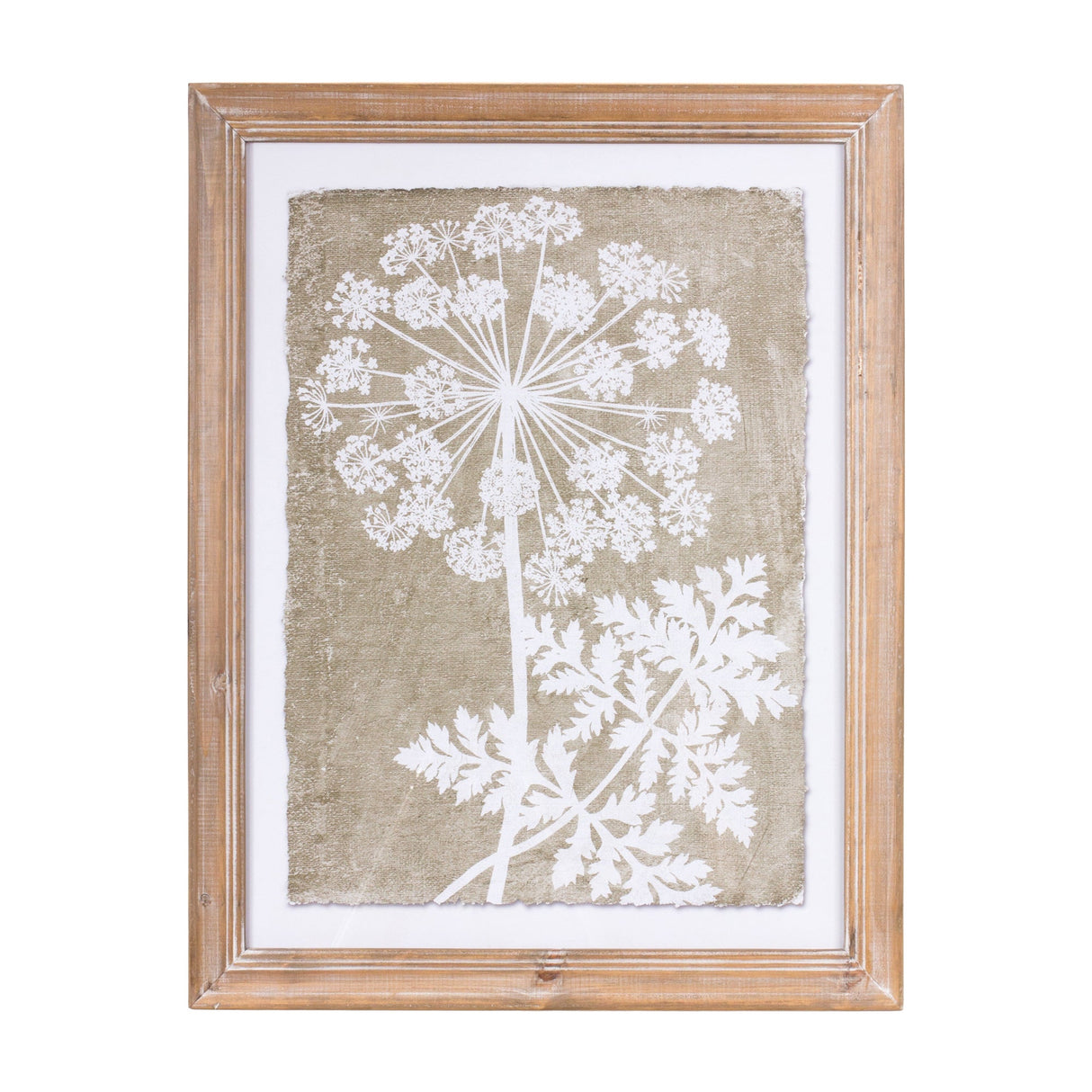 Framed Queen Anne's Lace and Fern Wall Art (Set of 2)