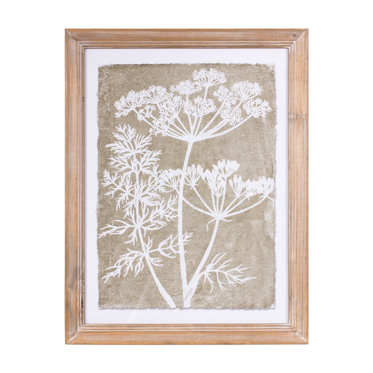 Framed Queen Anne's Lace and Fern Wall Art (Set of 2)