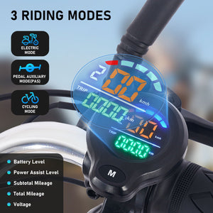 Folding Electric Trike with 350W Peak Motor and 480Wh Removable Battery