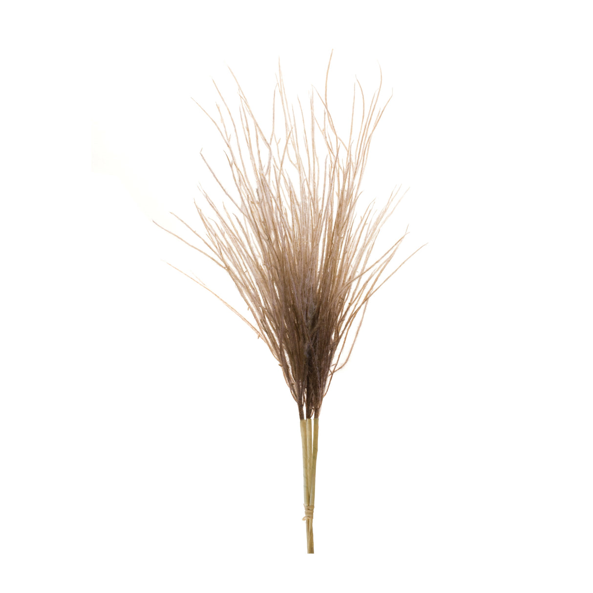White grass plume bundle (set of 2)