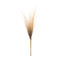Grass-plume-bundle-(set-of-2)-Artificial-Flowering-Plants