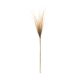 Grass plume bundle (set of 2)