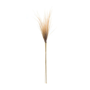 Grass Plume Bundle (Set of 2)