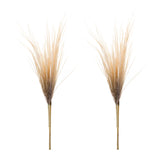 Grass plume bundle (set of 2)