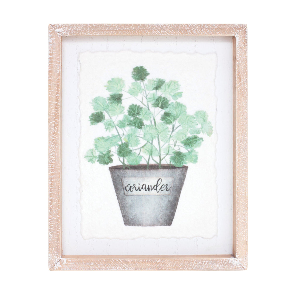 Framed Watercolor Herb Print (Set of 4)