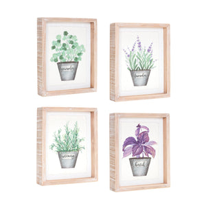 Framed Watercolor Herb Print (Set of 4)