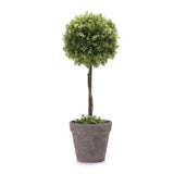 Potted topiary tree 17.5"h