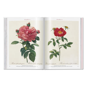Redouté. Roses (German, French, English)