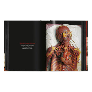 Anatomical Waxes. 45th Ed. (German, French, English)
