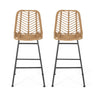 Sawtelle - Outdoor Wicker Barstools (Set of 2)