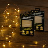 2-Pack-10-Ft-USB-Powered-Indoor/Outdoor-LED-Copper-Wire-String-Light-LED-Copper-Wire-String-Light