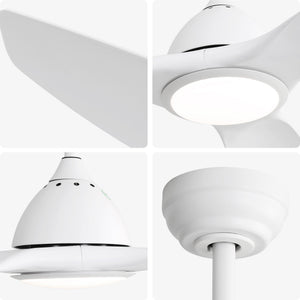 Bredoom Ceiling Fan With Remote Control And LED Light, Blades, Reversible DC Motor For Indoor / Outdoor Use