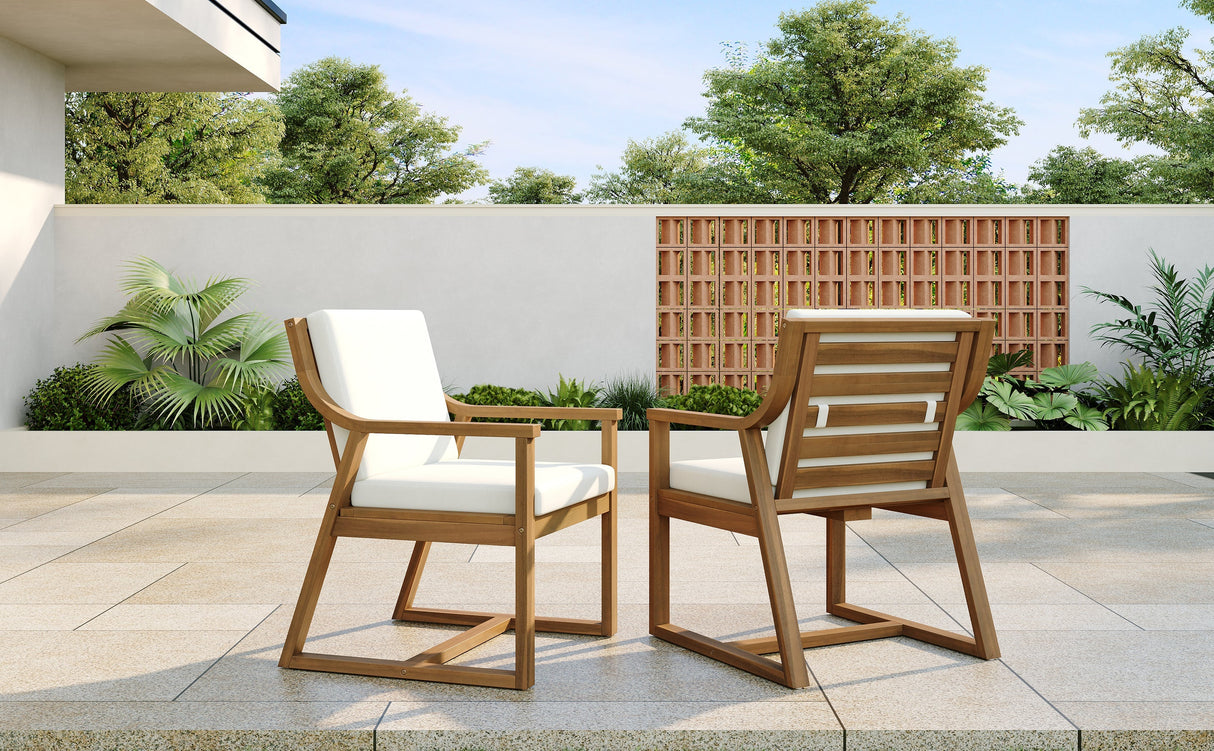 TREXM Patio Dining Chair Set of 2 with Removable Cushions
