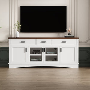 Modern TV Stand