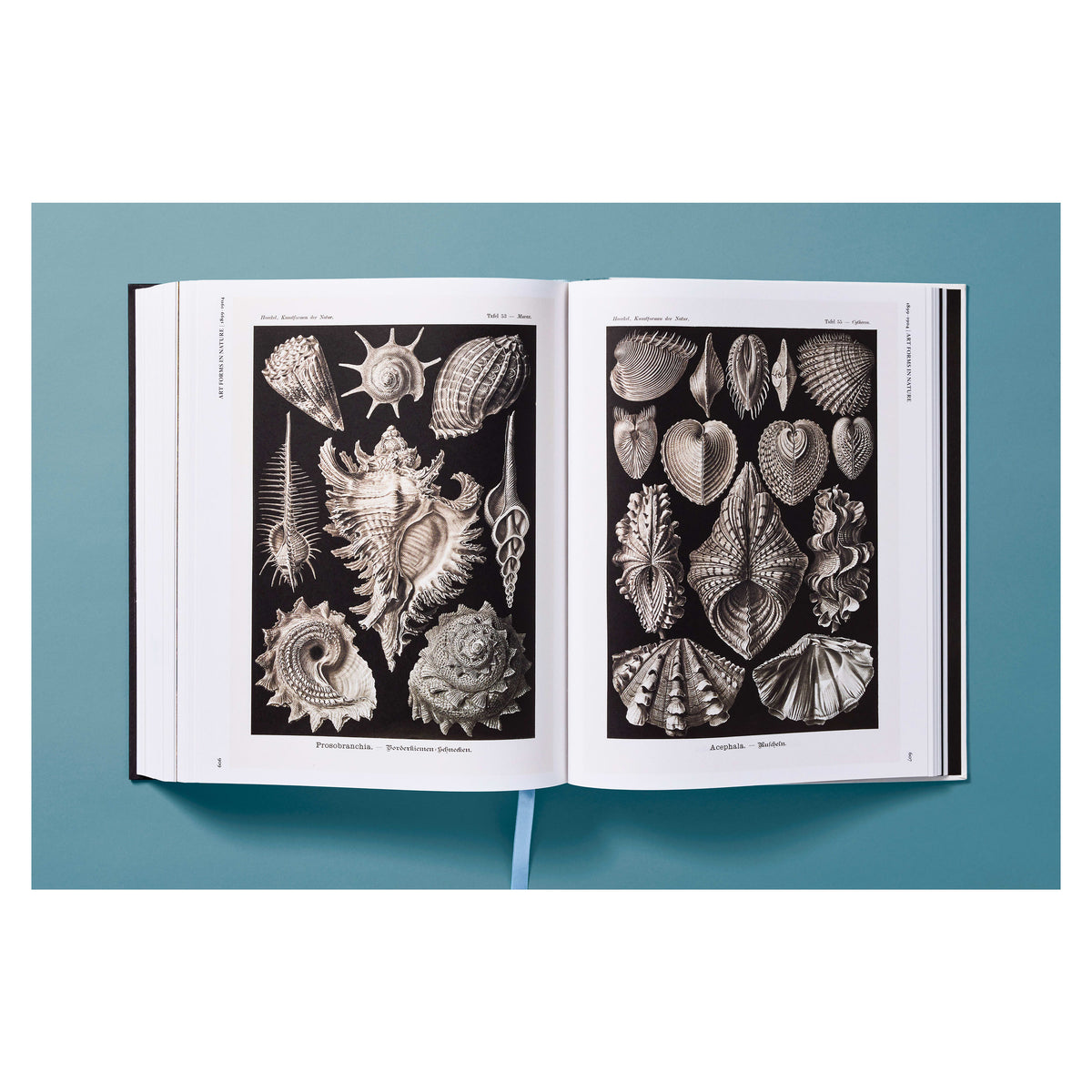 The Art and Science of Ernst Haeckel (German, French, English)