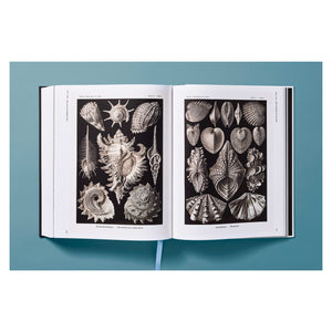 The Art and Science of Ernst Haeckel (German, French, English)