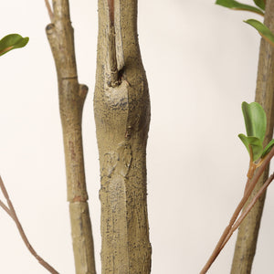 Lifelike Artificial Olive Tree with Plastic Pot for Home Living Room Decor