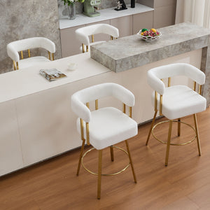 Decorative Upholstered Side Chair For Living Room (Set of 2)