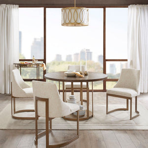 Contemporary Modern Accent Dining Chairs (Set of 2)