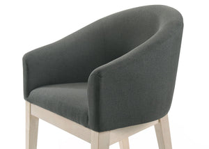 Neroli - Barrel Accent Chair (Set of 2) - Gray