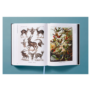 The Art and Science of Ernst Haeckel (German, French, English)