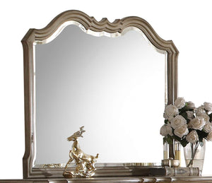 Taupe Mirror with Beveled Edge - Wood Frame