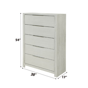 Jehoram - Chest