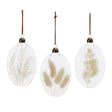 Natural-Dried-Floral-Glass-Ornament-(Set-of-12)-Christmas-Ornaments