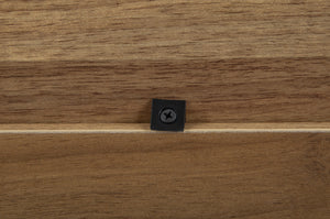 Japandi Narrow Shoe Cabinet with 2 Flip Drawers
