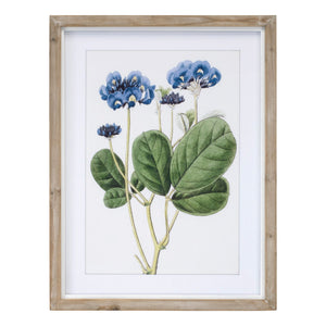 Wood Framed Floral Print (Set of 4)